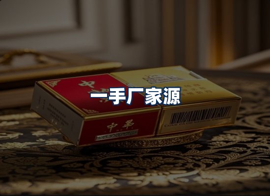 专业团队办公环境